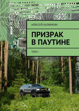 Алексей Калинкин Призрак в паутине. Том I обложка книги