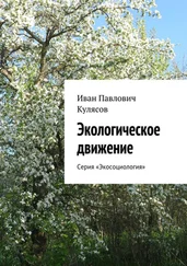 Иван Кулясов - Экологическое движение. Серия «Экосоциология»
