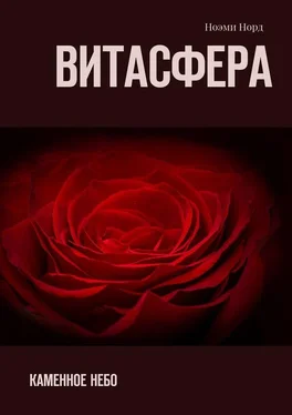 Ноэми Норд Витасфера. Каменное небо обложка книги