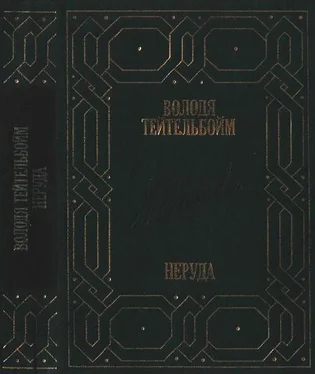 Володя Тейтельбойм Неруда обложка книги