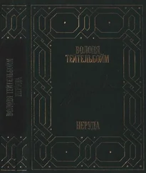 Володя Тейтельбойм - Неруда