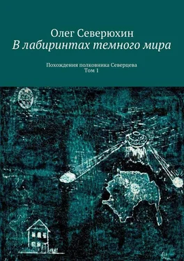 Олег Северюхин В лабиринтах темного мира. Похождения полковника Северцева. Том 1 обложка книги