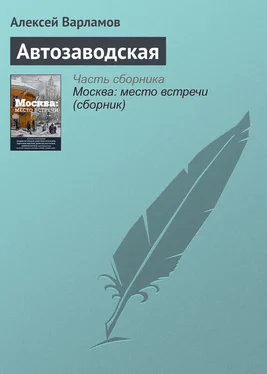 Алексей Варламов Автозаводская обложка книги