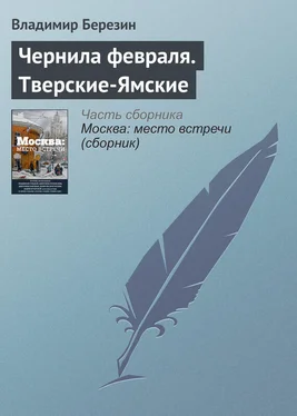 Владимир Березин Чернила февраля. Тверские-Ямские обложка книги