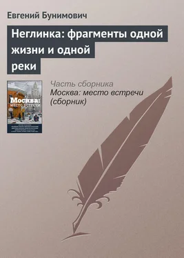 Евгений Бунимович Неглинка: фрагменты одной жизни и одной реки обложка книги
