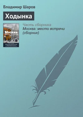 Владимир Шаров Ходынка обложка книги