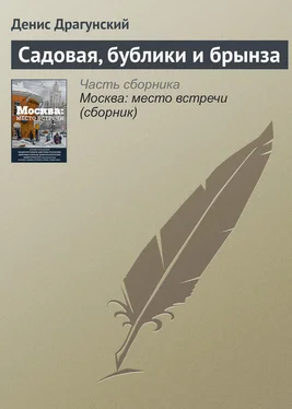 Денис Драгунский Садовая, бублики и брынза обложка книги