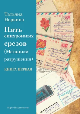 Татьяна Норкина Пять синхронных срезов (механизм разрушения). Книга первая обложка книги