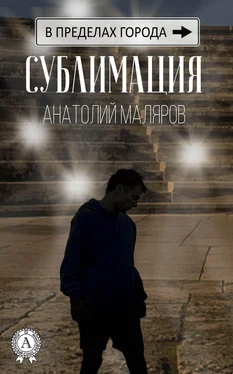 Анатолий Маляров Сублимация обложка книги