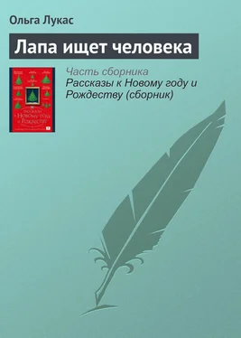 Ольга Лукас Лапа ищет человека обложка книги