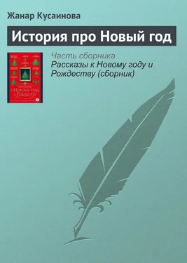 Жанар Кусаинова История про Новый год обложка книги