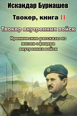 Искандар Бурнашев Твокер. Иронические рассказы из жизни офицера. Книга 2 обложка книги