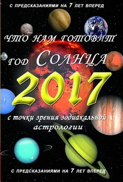 Владимир Южин Что нам готовит год Солнца – 2017 обложка книги