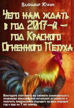 Владимир Южин Чего нам ждать в год 2017-й – год Огненного Петуха обложка книги