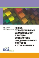 Ольга Ларина - Рынок субфедеральных заимствований в России - воздействие фундаментальных факторов и пути развития. Монография