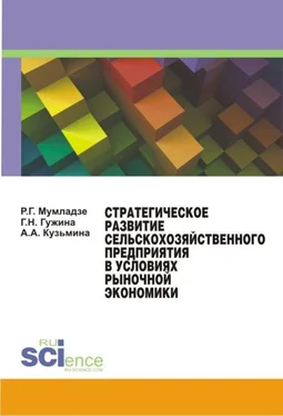 Галина Гужина Стратегическое развитие сельскохозяйственного предприятия в условиях рыночной экономики. Монография обложка книги