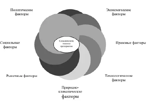 Рис 3 Факторы внешней среды организации Конкурентоспособность фирмы как - фото 5