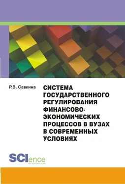 Раиса Савкина Система государственного регулирования финансово-экономических процессов в вузах в современных условиях. Монография обложка книги