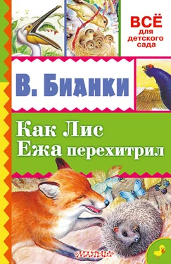 Виталий Бианки Как лис ежа перехитрил (сборник) обложка книги