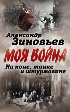 Александр Зиновьев На коне, танке и штурмовике. Записки воина-философа обложка книги