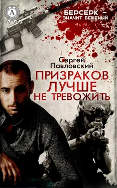 Сергей Павловский Призраков лучше не тревожить обложка книги