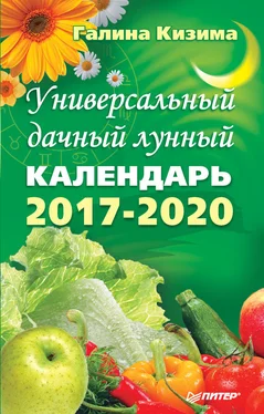 Галина Кизима Универсальный дачный лунный календарь 2017-2020 обложка книги