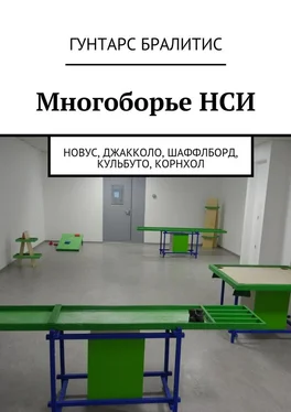 Гунтарс Бралитис Многоборье НСИ. Новус, джакколо, шаффлборд, кульбуто, корнхол обложка книги