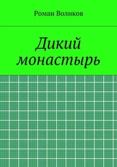 Роман Воликов - Дикий монастырь