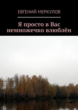 Евгений Меркулов Я просто в Вас немножечко влюблён обложка книги