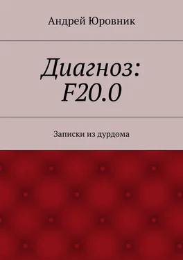 Андрей Юровник Диагноз: F20.0. Записки из дурдома обложка книги