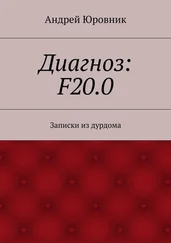 Андрей Юровник - Диагноз - F20.0. Записки из дурдома
