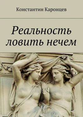 Константин Каронцев Реальность ловить нечем обложка книги