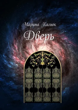 Марина Калюк Дверь обложка книги