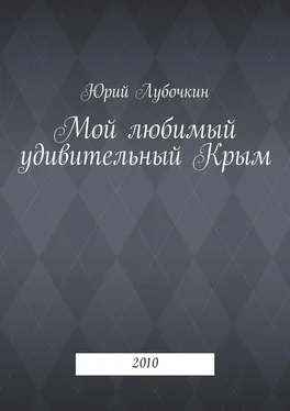 Юрий Лубочкин Мой любимый удивительный Крым. 2010 обложка книги