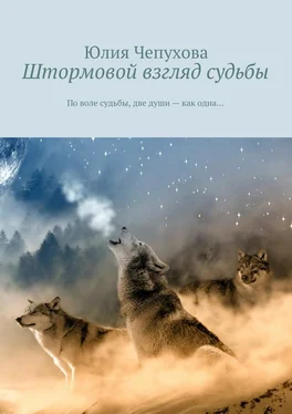 Юлия Чепухова Штормовой взгляд судьбы. По воле судьбы, две души – как одна… обложка книги