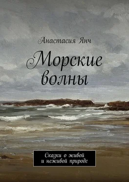 Анастасия Янч Морские волны. Сказки о живой и неживой природе обложка книги