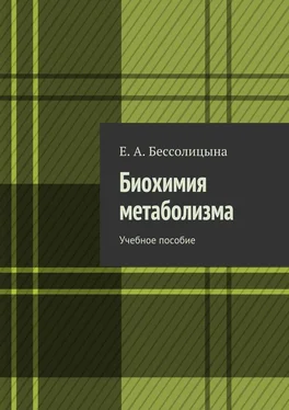 Е. Бессолицына Биохимия метаболизма. Учебное пособие обложка книги