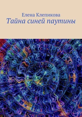 Елена Клепикова Тайна синей паутины обложка книги