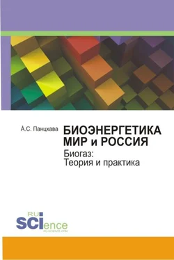 Евгений Панцхава Биоэнергетика. Мир и Россия. Биогаз. Теория и практика. Монография обложка книги