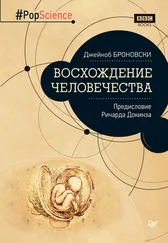 Джейкоб Броновски - Восхождение человечества. Предисловие Ричарда Докинза