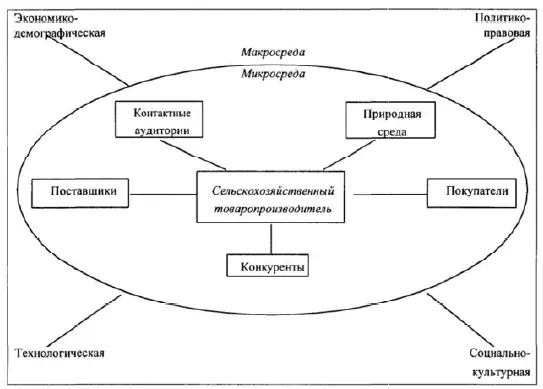 Рис 2 Внешняя среда сельскохозяйственного товаропроизводителя 4 Реализация - фото 2