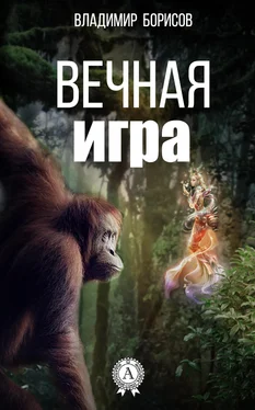 Владимир Борисов Вечная игра обложка книги