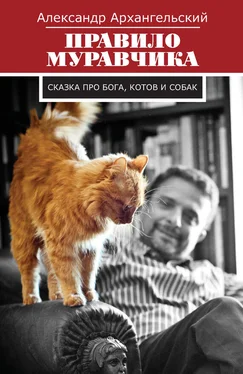 Александр Архангельский Правило муравчика. Сказка про бога, котов и собак обложка книги