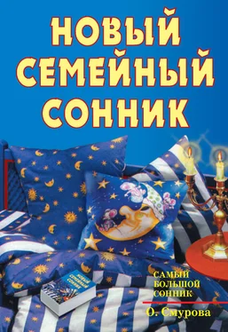 Ольга Смурова Новый семейный сонник обложка книги