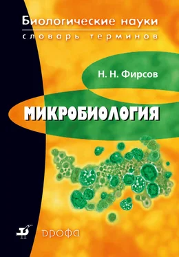 Николай Фирсов Биологические науки. Словарь терминов. Микробиология обложка книги