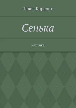 Павел Карелин Сенька. Мистика обложка книги