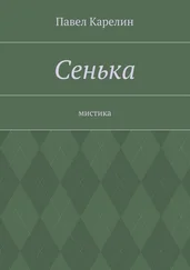 Павел Карелин - Сенька. Мистика