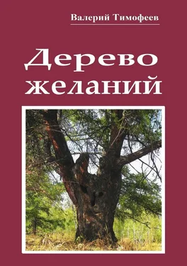 Валерий Тимофеев Дерево желаний. Сказки и истории обложка книги