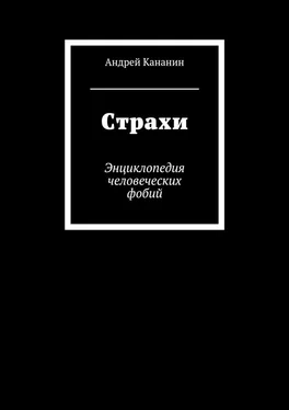 Андрей Кананин Страхи. Энциклопедия человеческих фобий обложка книги