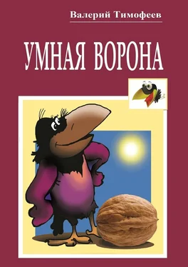 Валерий Тимофеев Умная Ворона. Веселые истории обложка книги